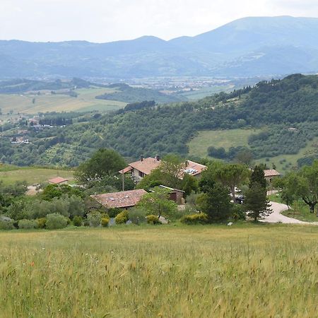 Agriturismo Terra Selvatica Valfabbrica Dış mekan fotoğraf
