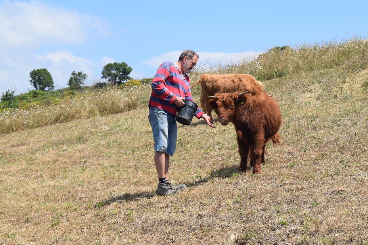 Agriturismo Terra Selvatica Valfabbrica Dış mekan fotoğraf